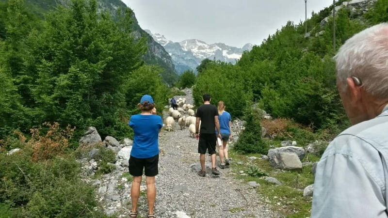 Semi-Private Hiking Tour of Theth & Blue Eye in 2 Days - What Travelers Are Saying