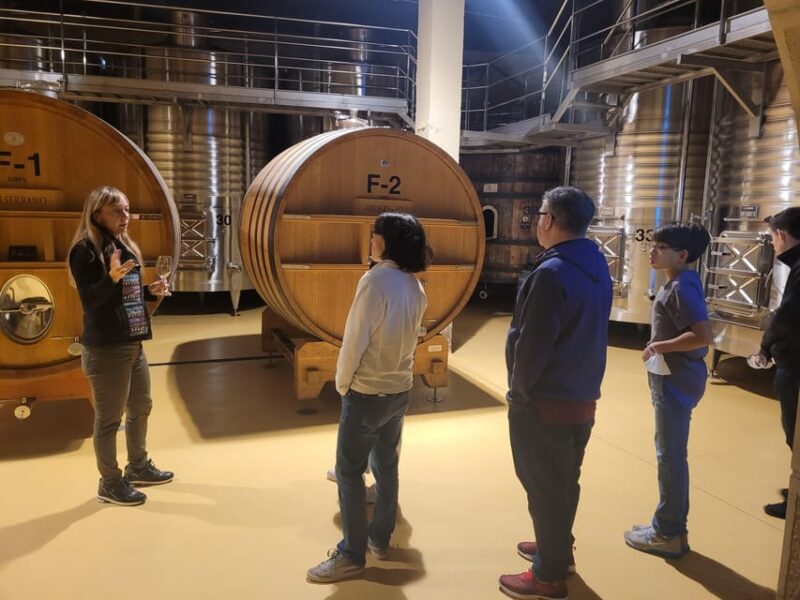 Semi-Private La Rioja Tour of 3 Premium Wineries From Bilbao - Key Points