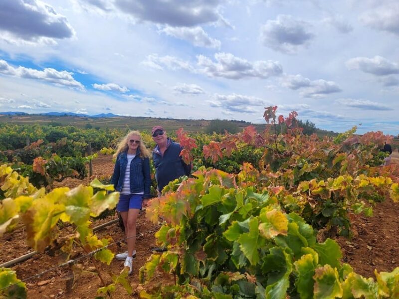 Semi-Private La Rioja Tour of 3 Premium Wineries From Bilbao - Itinerary Highlights
