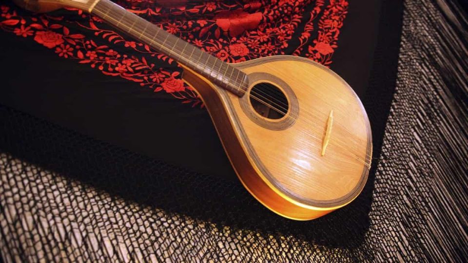 Semi-Private Oporto Fado Show With Dinner - Pickup and Drop-off