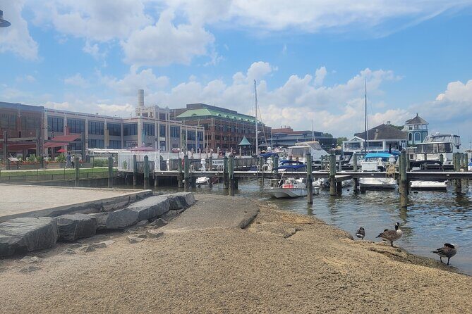 Semi-Private Walking Tour in Old Town Alexandria & Carlyle House - The Value of This Tour