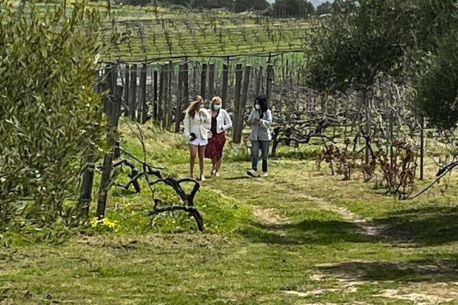 Semi-Private Wine Tour of 2 wineries with wine Tastings - Key Points