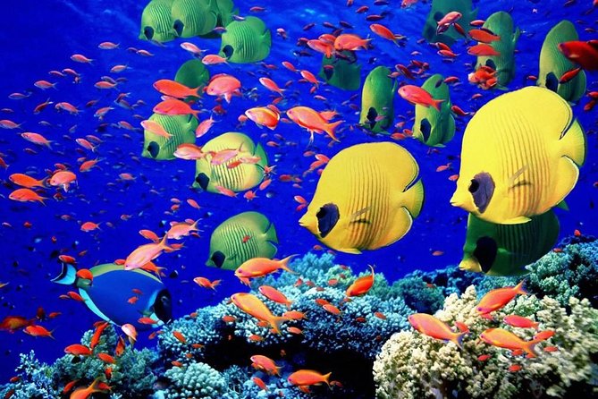 Semi Submarine - Meeting and Pickup Arrangements
