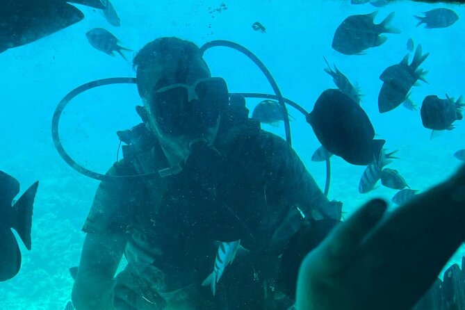 Semi Submarine - Hurghada - Accessibility and Group Size