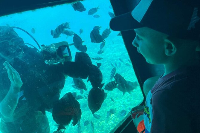 Semi Submarine - Hurghada - Customer Feedback and Highlights