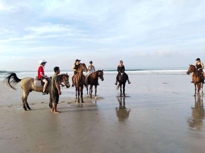 Seminyak Beach Horse Riding Experience - Key Points