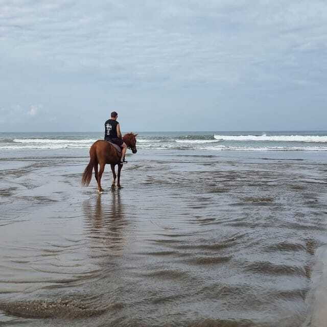 Seminyak Beach Horse Riding Experience - Authenticity and Tips from Previous Travelers