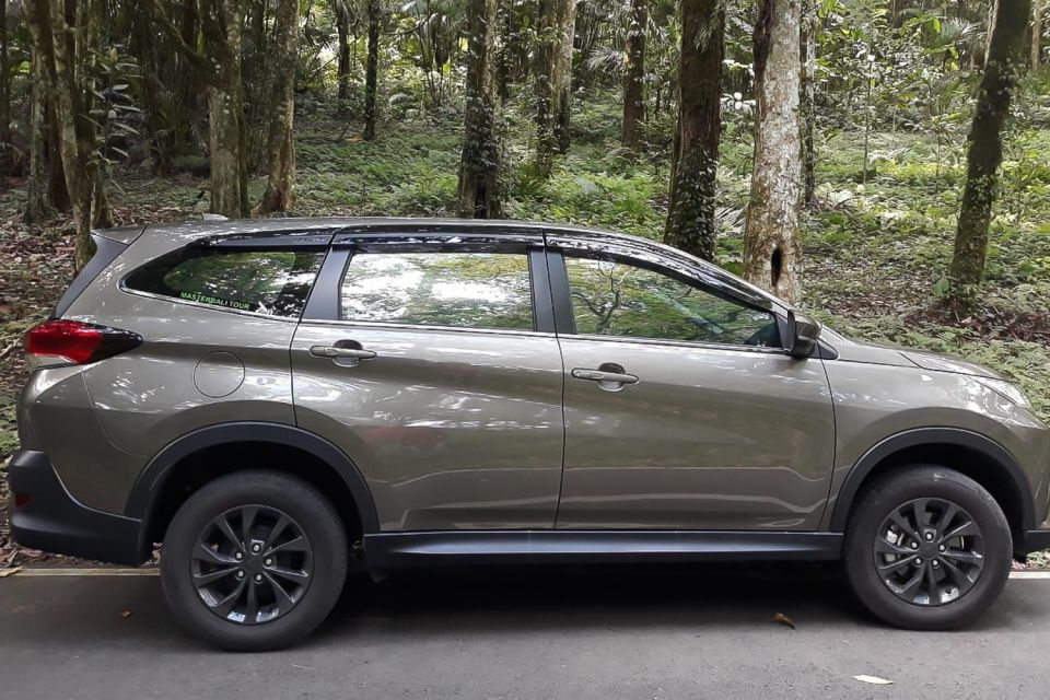 Seminyak: Departure Transfer to Bali Airport (Dps) - Transfer Experience