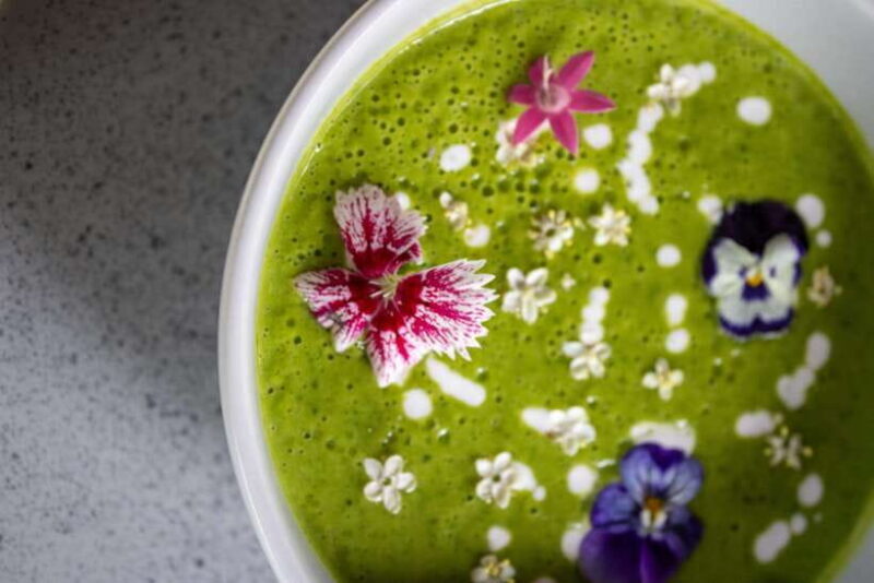 Seminyak: TULA Wellness Private Half-Day Experience - Final Thoughts: Who Is This Tour Best For?