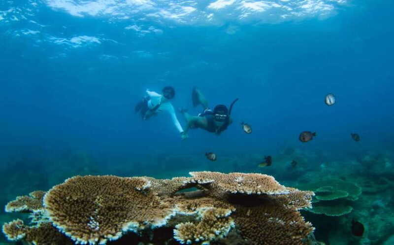 Semporna: Explore 3 Islands Tour Snorkel or Dive & Lunch - The Balance of Experience and Practicalities