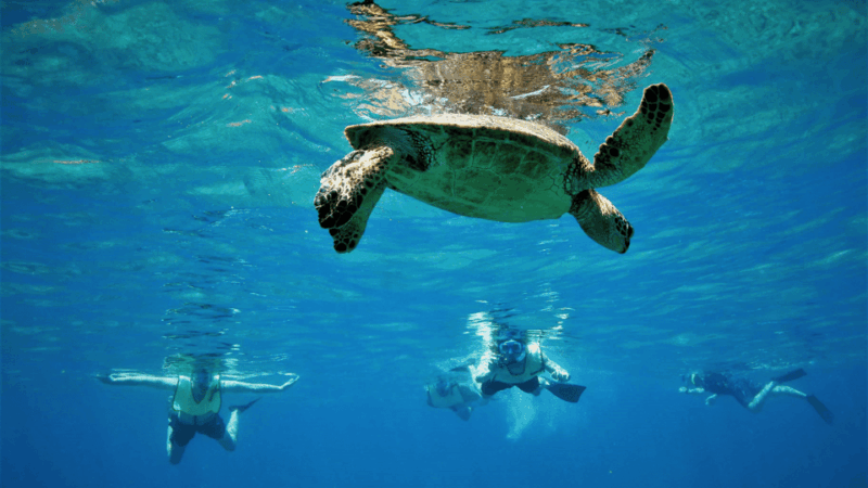 Semporna : Island Hopping Semporna Adventure - Important Information
