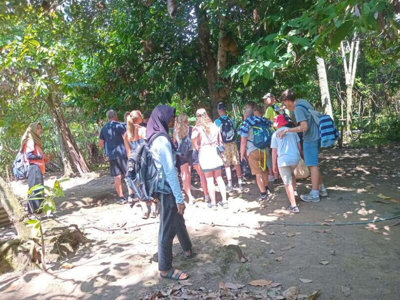 senaru waterfall tour - Key Points