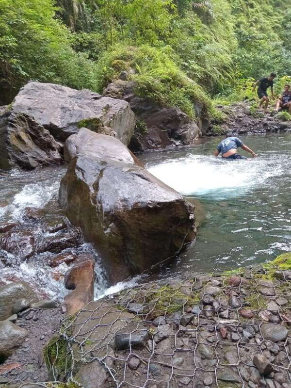 senaru waterfall tour - The Sum Up