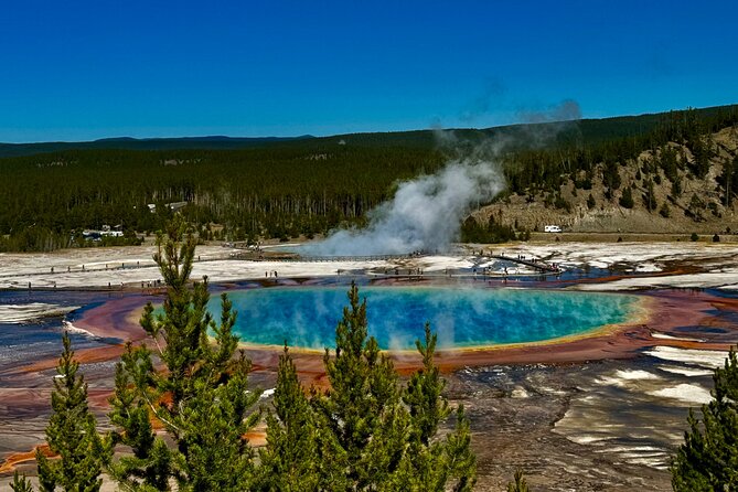Seniors Special May 2025 Yellowstone Lower Loop West Yellowstone - Pickup Information