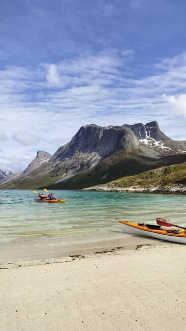 Senja: Fjord Kayaking in Ånderdalen National Park - Practical Tips for Participants