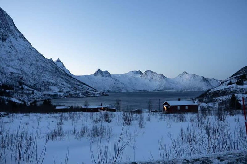 Senja: Full-Day Guided Tour with Husøy and Ersfjord - An In-Depth Look at the Senja Full-Day Tour