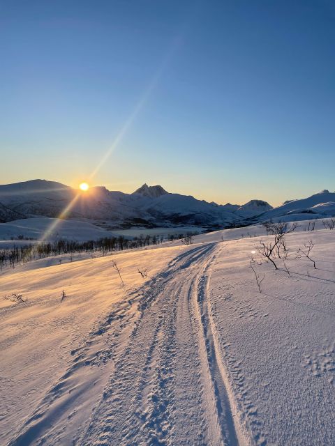 Senja Island: Winter Light Package Deal, 1 Day and 1 Night - Exploring the Senja Island Winter Light Package Deal: What You’re Getting