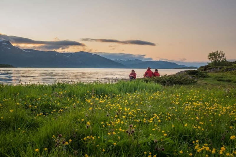 Senja: Midnight Sun Kayaking in Ånderdalen National Park - Authentic, Stress-Free, and Unique