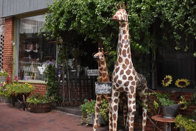 Senoia the Walking Dead Film Locations 2 Hours Walking Tour - Whats Included in the Tour