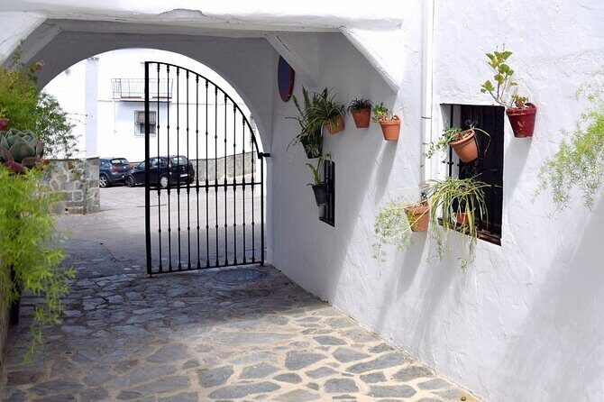 Sensational Setenil by e-bike (full day) - The Value of This Tour