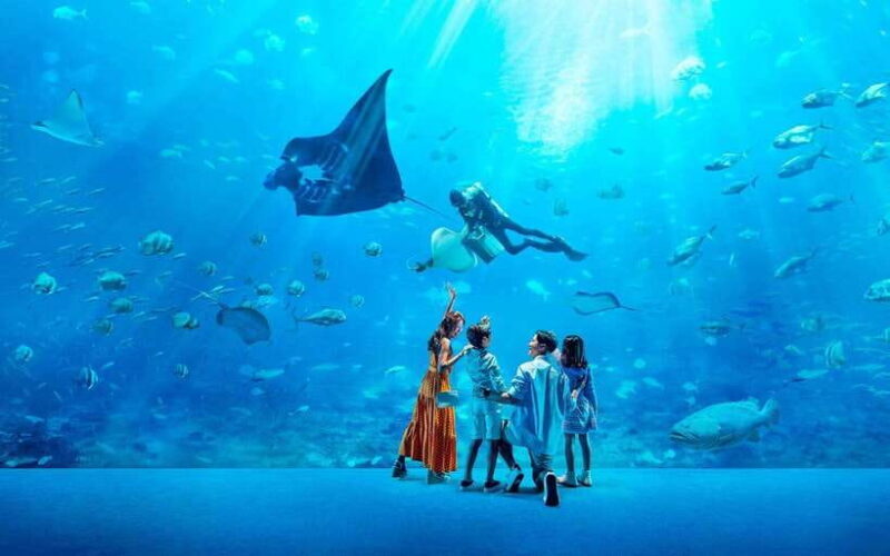 Sentosa Adventure: SEA Aquarium, Cable Car, Madame Tussauds - Who Benefits Most?