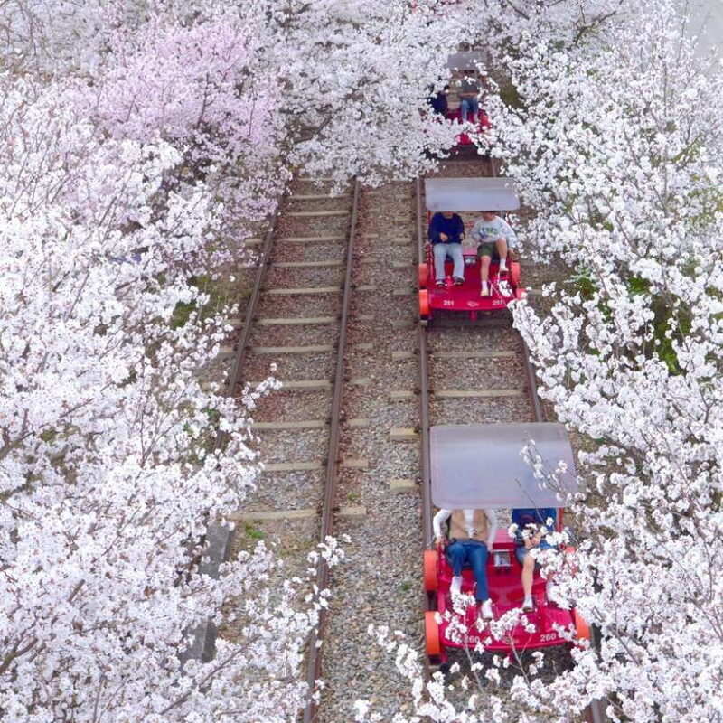 Seoraksan & Nami & Rail Bike & Morning Calm - The Sum Up: Is It Worth It?