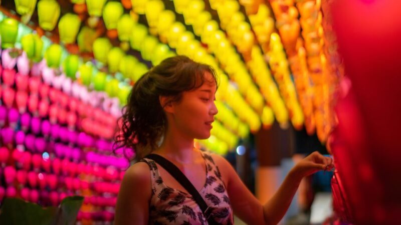Seoul: Afternoon Ebike tour and "Happy Hour" food and drinks - Final Thoughts