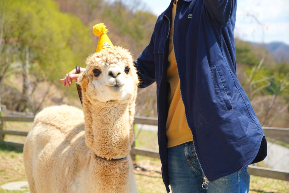 Seoul: Alpaca World, Luge Ride and Suspension Bridge - Round-trip Transportation