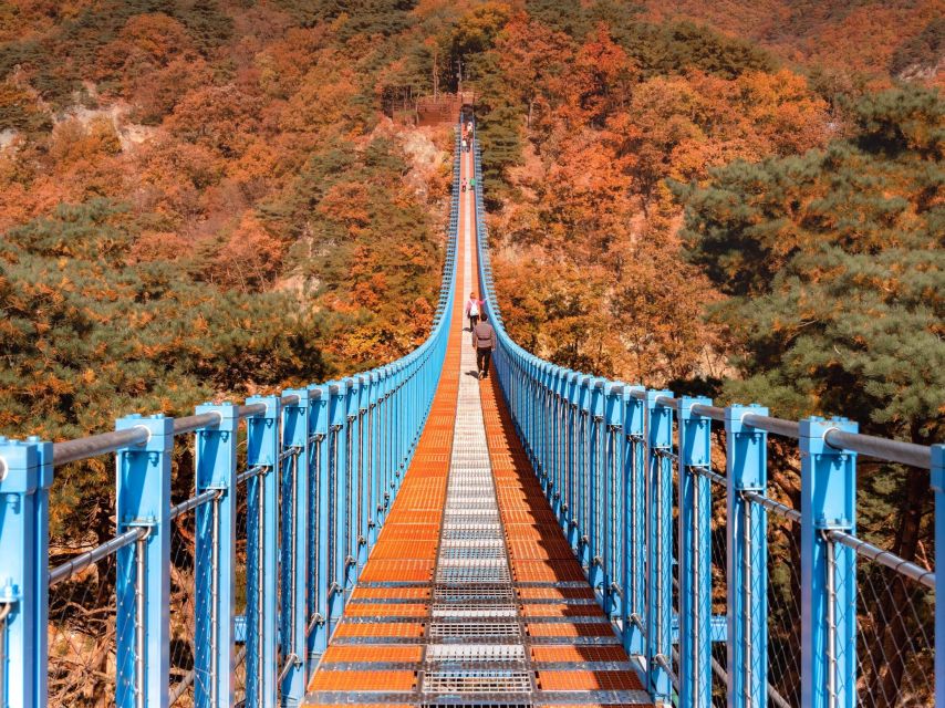 Seoul: Alpaca World, Luge Ride and Suspension Bridge - Sogeumsan Suspension Bridge