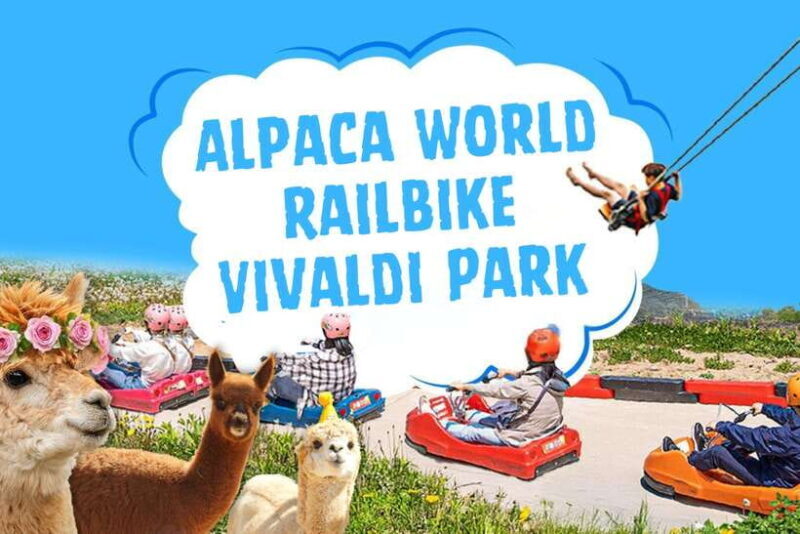 Seoul: Alpaca World, Railbike & Vivaldi Park Experience Tour - Key Points