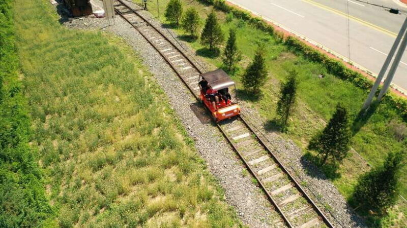 Seoul: Alpaca World, Railbike & Vivaldi Park Experience Tour - FAQ
