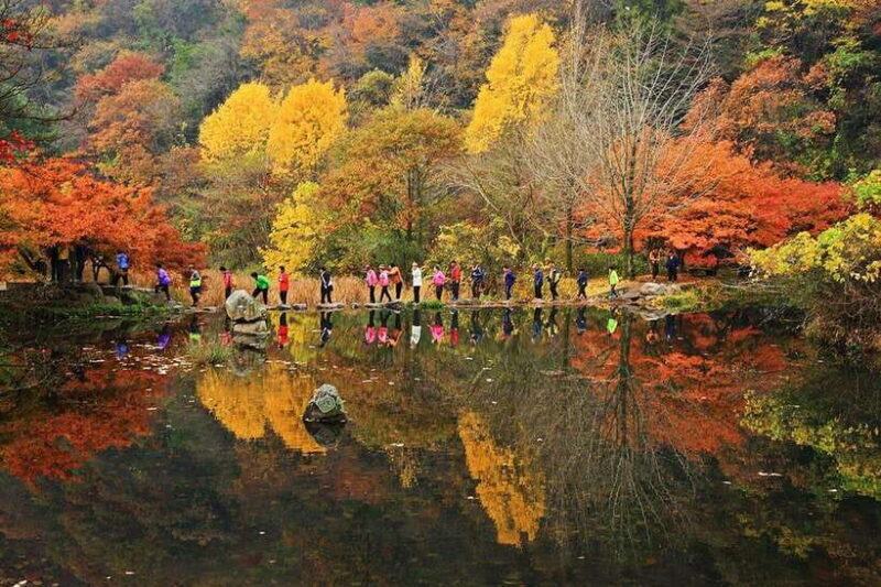 Seoul: Autumn Foliage - Mt. Naejang + Jeonju Hanok Village - Exploring Korea’s Autumn Foliage: What This Tour Offers