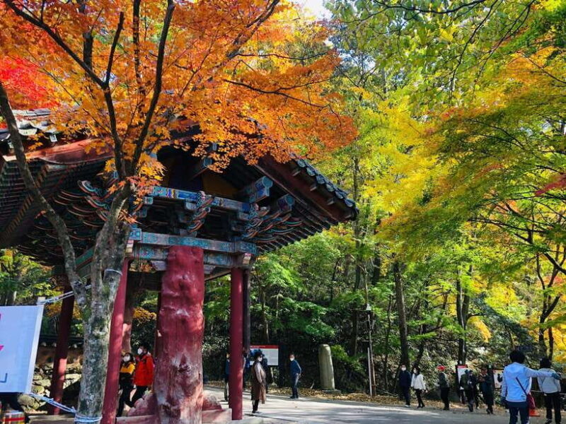 Seoul: Autumn Foliage - Mt. Naejang + Jeonju Hanok Village - Authenticity and Value