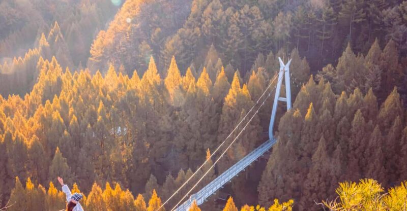 Seoul: Autumn Jangtaesan Recreational Forest One Day Tour - Key Points