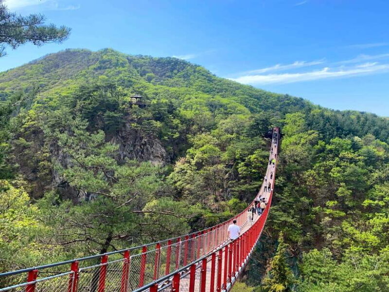Seoul: DMZ Tour & North Korean Defector Meet Up (As Add-on) - Key Points