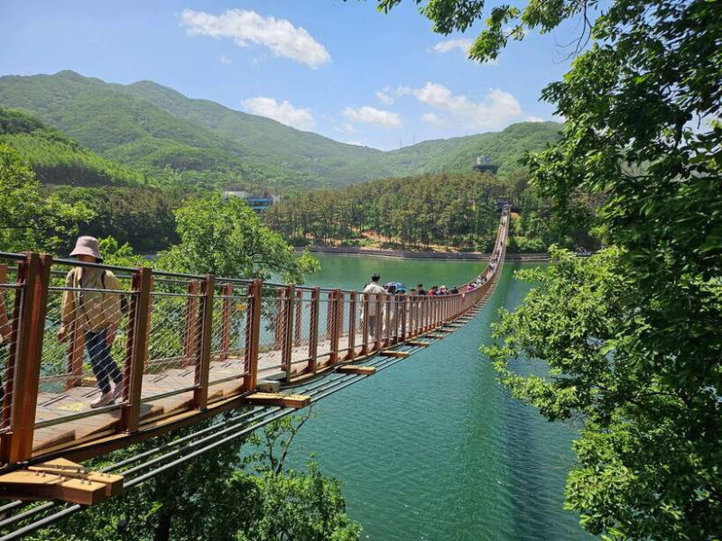 Seoul: DMZ Tour & North Korean Defector Meet Up (As Add-on) - The Sum Up: Who Should Consider This Tour?