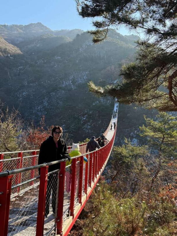 Seoul: DMZ Tour & North Korean Defector Meet Up (As Add-on) - Frequently Asked Questions