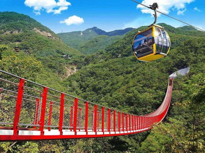Seoul: DMZ with Optional Suspension Bridge & Gondola - Key Points