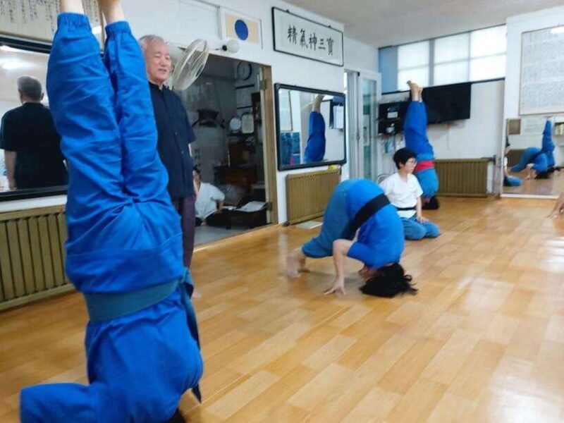 Seoul: Experience Traditional Korean Mind & Body Healing - Who Should Consider This Tour?