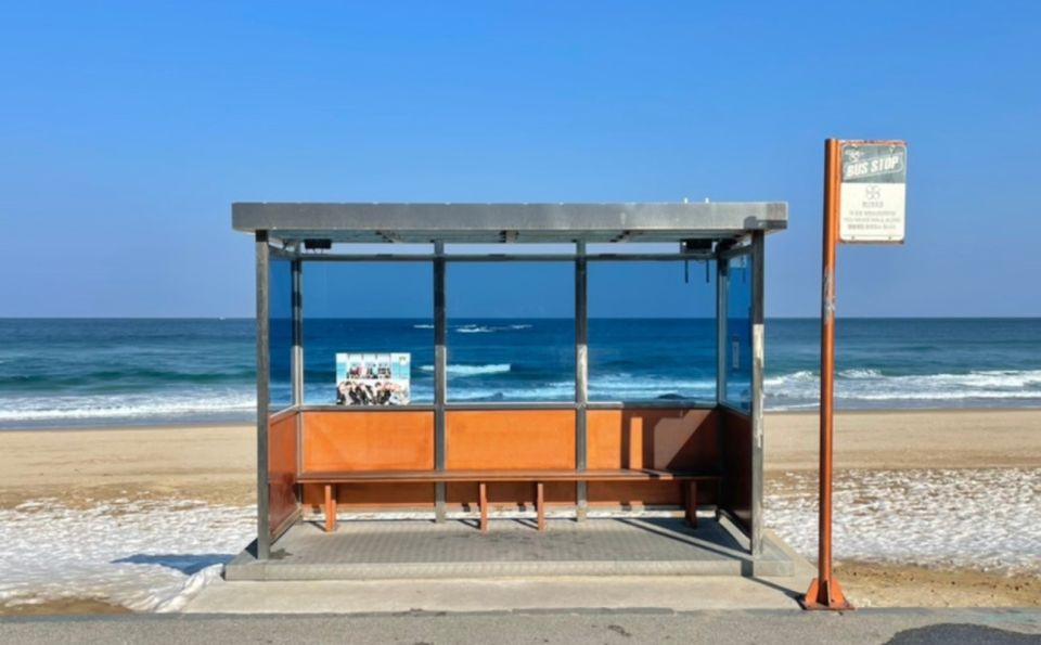 Seoul: Gangneung Delights From BTS Bus Stop to Anmok Beach - Sensory Experience at ARTE Museum