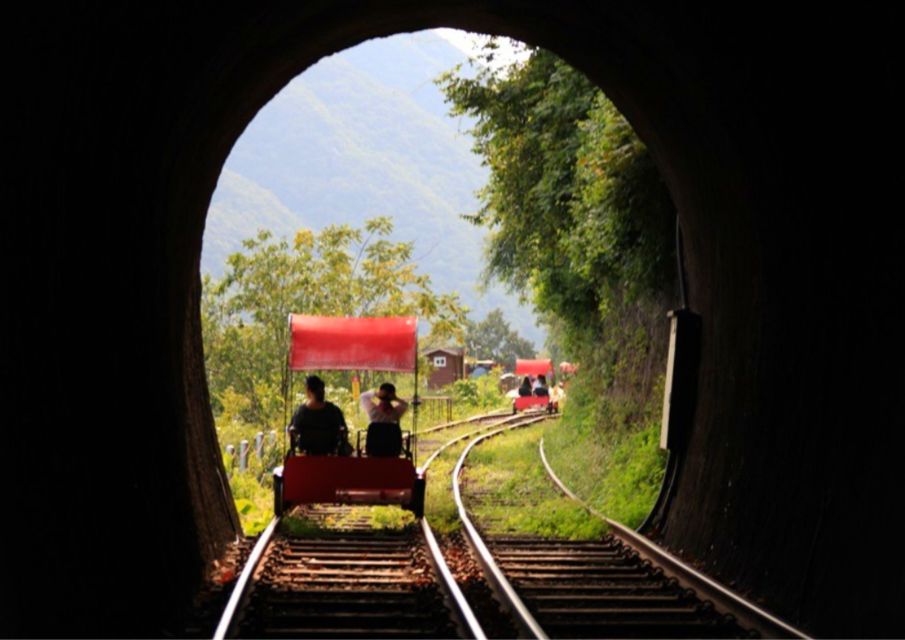 Seoul: Gangwon-Do Day Trip With Alpaca World & Nami Island - Gangchon Rail Park Tour