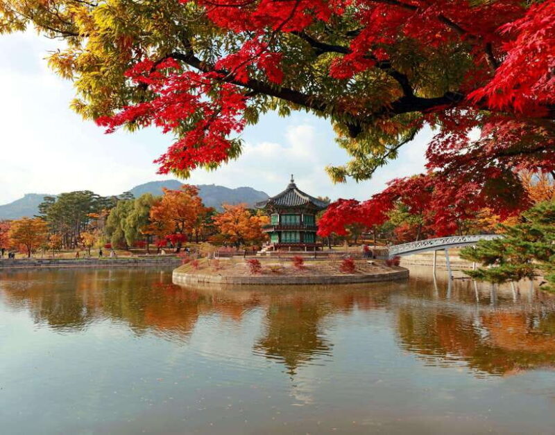Seoul: Gyeongbok Palace, N Seoul Tower (with Cable Car) - An Honest Look at the Tour Experience