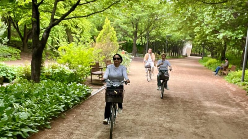 Seoul: Han River Urban Nature Bike Tour - Equipment and Safety