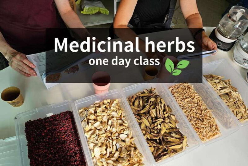 Seoul: herbal tea class & Korean Medicine tour - Practical Tips for Travelers