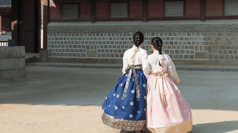 Seoul Korea 7 Day Family Tour Lotte World Everland DMZ - Key Points