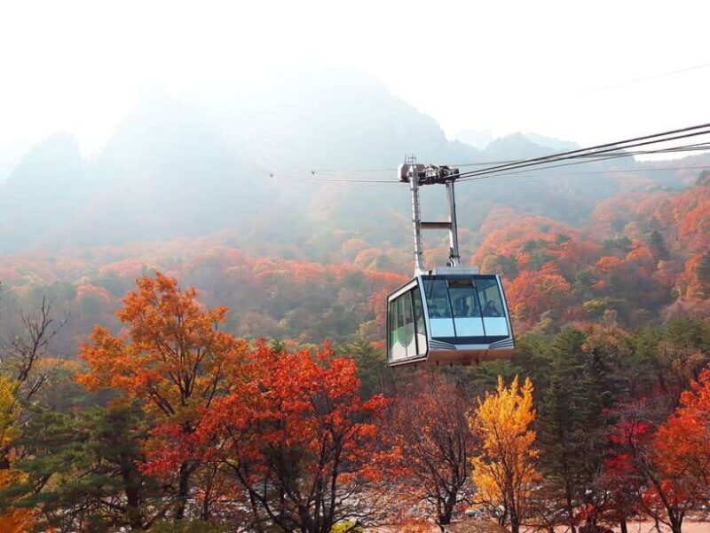Seoul: Mt.Seorak, Nami Island & Korean Garden, No Shopping - Key Points