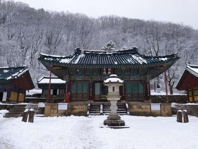 Seoul: Mt.Seorak, Nami Island & Korean Garden, No Shopping - An In-Depth Look at what the Tour Offers