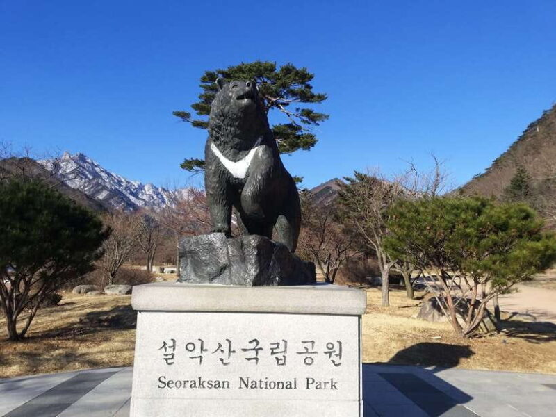 Seoul: Mt.Seorak, Nami Island & Korean Garden, No Shopping - Some Considerations