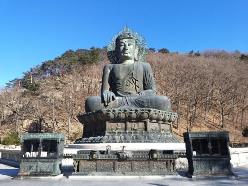 Seoul: Mt.Seorak, Nami Island & Korean Garden, No Shopping - Who Is This Tour Best For?