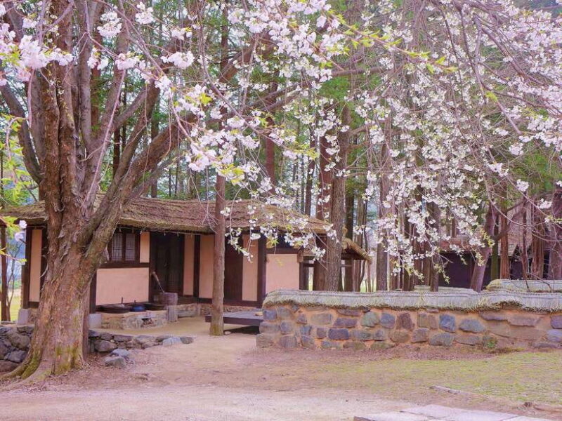 Seoul: Mt.Seorak, Nami Island, No Shopping(+RailBike Option) - The Sum Up: Who Should Consider This Tour?